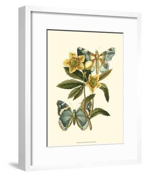 Butterfly Oasis III-null-Framed Art Print