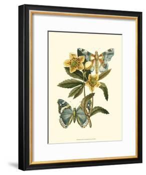 Butterfly Oasis III-null-Framed Art Print