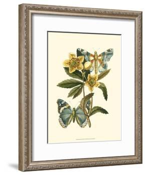 Butterfly Oasis III-null-Framed Art Print
