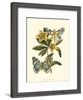 Butterfly Oasis III-null-Framed Art Print