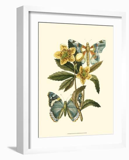 Butterfly Oasis III-null-Framed Art Print