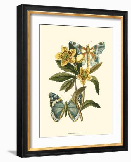 Butterfly Oasis III-null-Framed Art Print