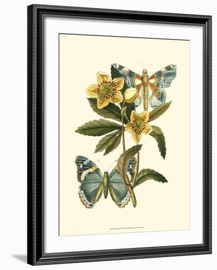 Butterfly Oasis III-null-Framed Art Print