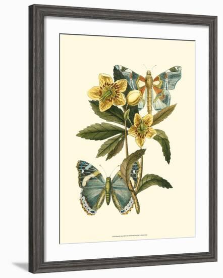 Butterfly Oasis III-null-Framed Art Print