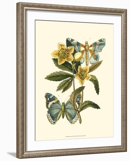 Butterfly Oasis III-null-Framed Art Print