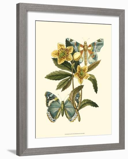 Butterfly Oasis III-null-Framed Art Print