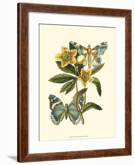 Butterfly Oasis III-null-Framed Art Print