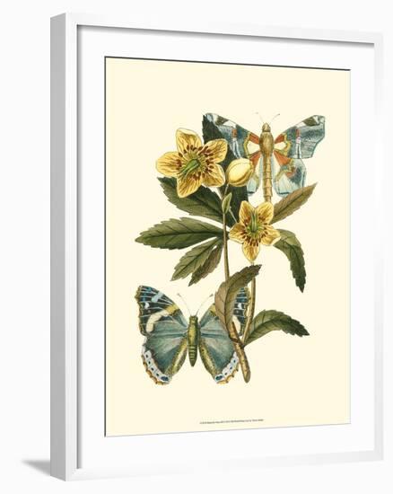 Butterfly Oasis III-null-Framed Art Print