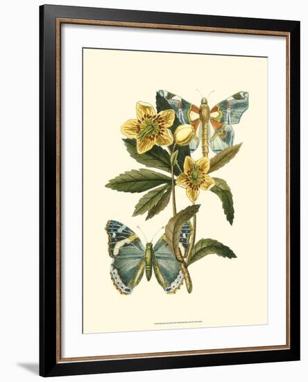 Butterfly Oasis III-null-Framed Art Print