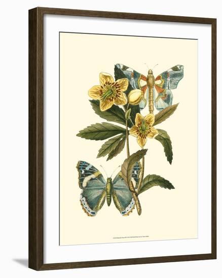 Butterfly Oasis III-null-Framed Art Print