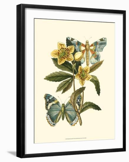 Butterfly Oasis III-null-Framed Art Print