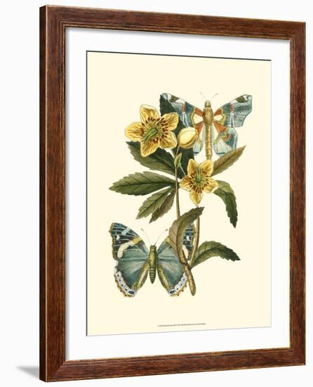 Butterfly Oasis III-null-Framed Art Print