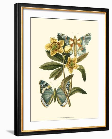 Butterfly Oasis III--Framed Art Print