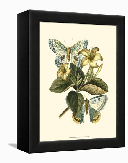 Butterfly Oasis IV-null-Framed Stretched Canvas