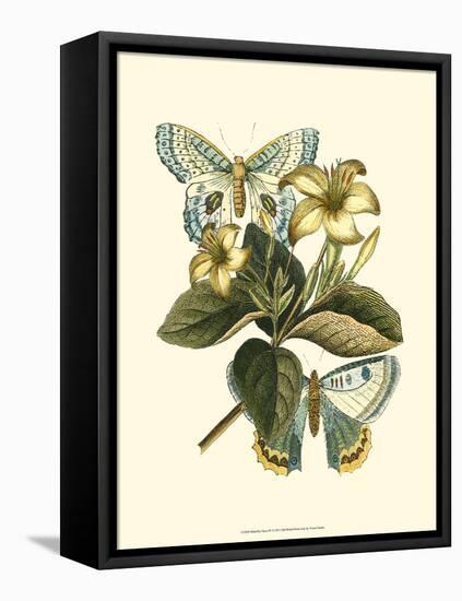 Butterfly Oasis IV-null-Framed Stretched Canvas