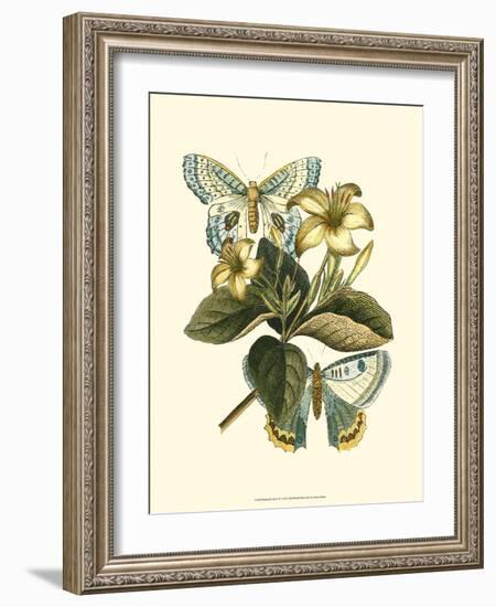 Butterfly Oasis IV-null-Framed Premium Giclee Print