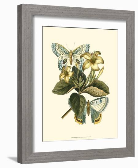 Butterfly Oasis IV-null-Framed Premium Giclee Print