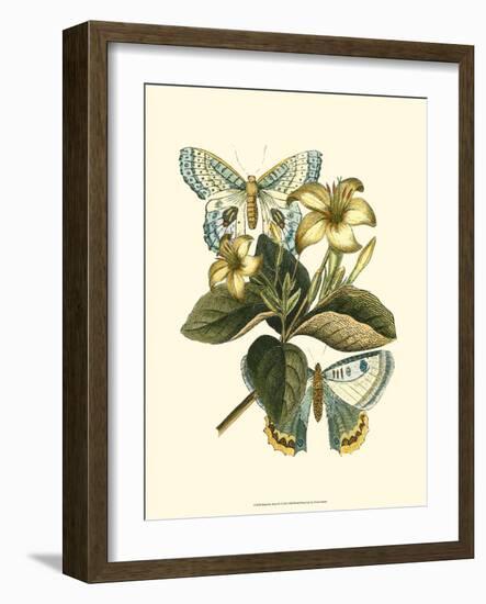 Butterfly Oasis IV-null-Framed Premium Giclee Print