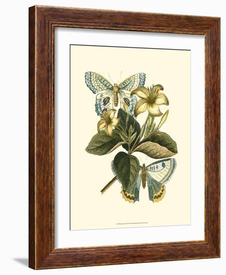 Butterfly Oasis IV-null-Framed Premium Giclee Print