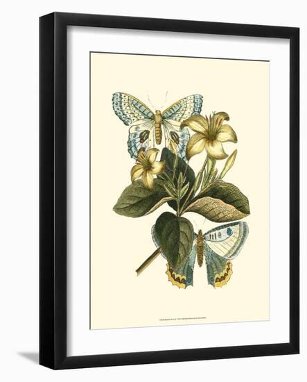 Butterfly Oasis IV-null-Framed Premium Giclee Print