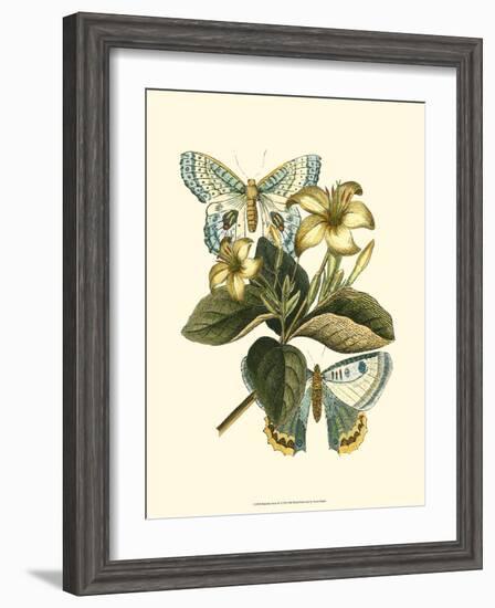 Butterfly Oasis IV-null-Framed Art Print