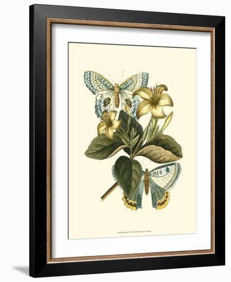 Butterfly Oasis IV-null-Framed Art Print