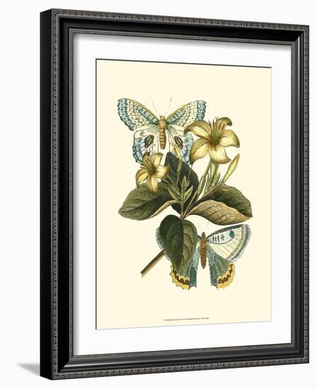 Butterfly Oasis IV-null-Framed Art Print