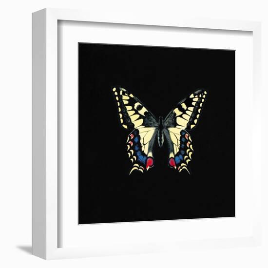 Butterfly on Black-Joanna Charlotte-Framed Art Print