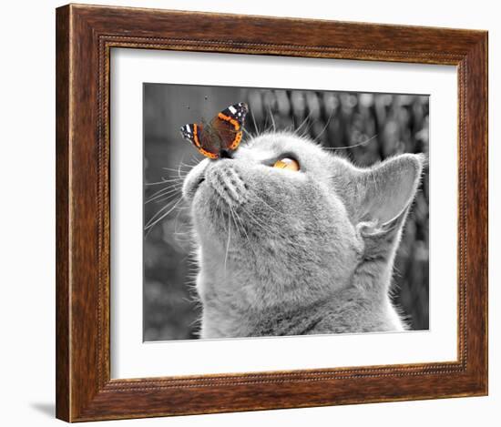 Butterfly on Nose-null-Framed Art Print