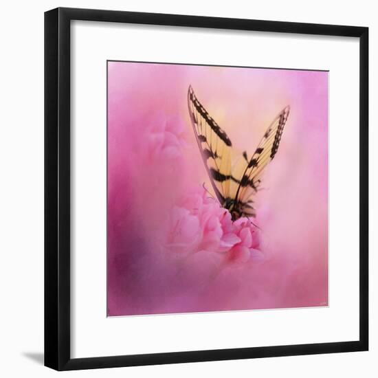 Butterfly on the Azaleas-Jai Johnson-Framed Giclee Print