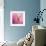 Butterfly on the Azaleas-Jai Johnson-Framed Giclee Print displayed on a wall