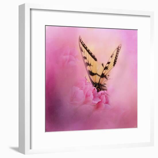 Butterfly on the Azaleas-Jai Johnson-Framed Giclee Print
