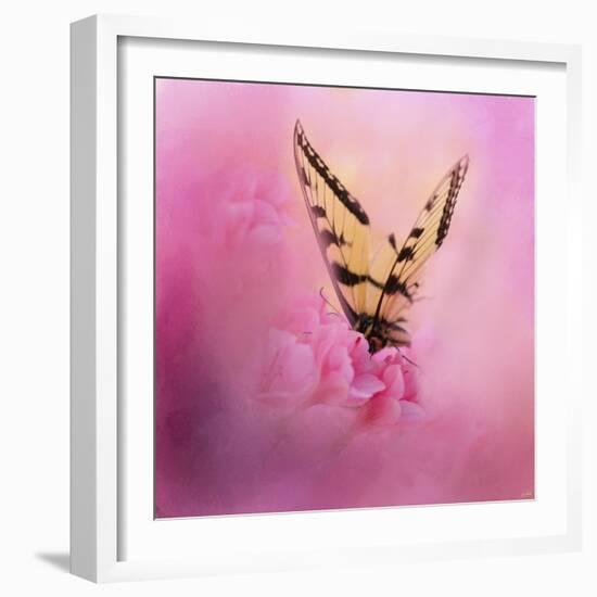 Butterfly on the Azaleas-Jai Johnson-Framed Giclee Print