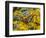 Butterfly on wildflower, El Rosario Monarch Butterfly Reserve, Mexico-Howie Garber-Framed Photographic Print