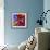 Butterfly Orchid-Steven Scott-Framed Giclee Print displayed on a wall