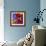 Butterfly Orchid-Steven Scott-Framed Giclee Print displayed on a wall