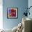 Butterfly Orchid-Steven Scott-Framed Giclee Print displayed on a wall