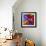 Butterfly Orchid-Steven Scott-Framed Giclee Print displayed on a wall