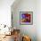 Butterfly Orchid-Steven Scott-Framed Giclee Print displayed on a wall