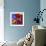 Butterfly Orchid-Steven Scott-Framed Giclee Print displayed on a wall