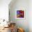 Butterfly Orchid-Steven Scott-Framed Giclee Print displayed on a wall