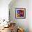 Butterfly Orchid-Steven Scott-Framed Giclee Print displayed on a wall