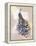 Butterfly Peacock-The Tangled Peacock-Framed Premier Image Canvas