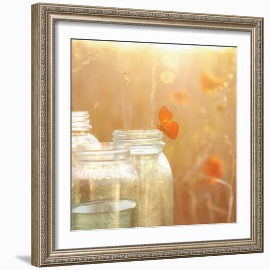 Butterfly Perch-Mandy Lynne-Framed Art Print