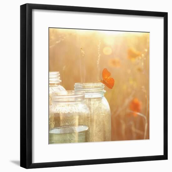 Butterfly Perch-Mandy Lynne-Framed Art Print