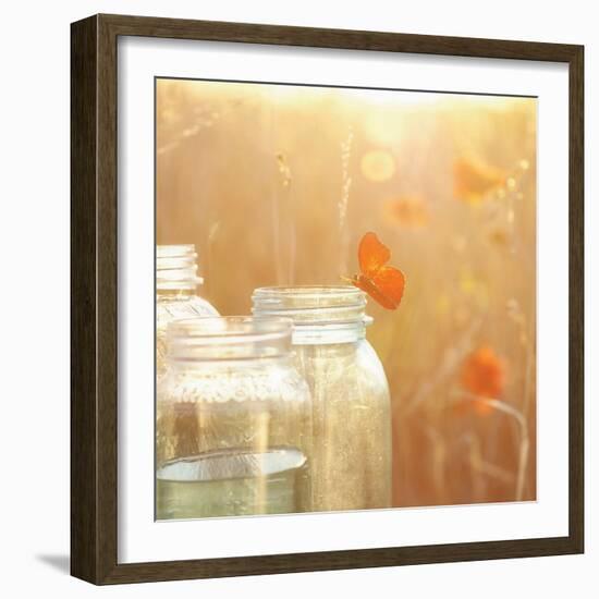 Butterfly Perch-Mandy Lynne-Framed Art Print