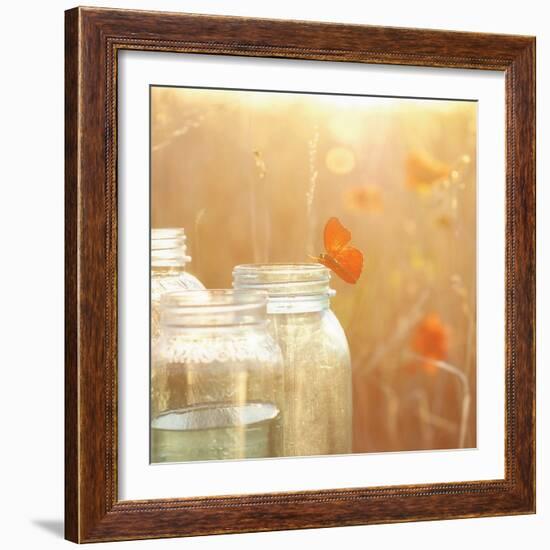 Butterfly Perch-Mandy Lynne-Framed Art Print