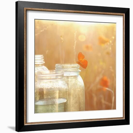 Butterfly Perch-Mandy Lynne-Framed Art Print