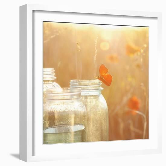 Butterfly Perch-Mandy Lynne-Framed Art Print