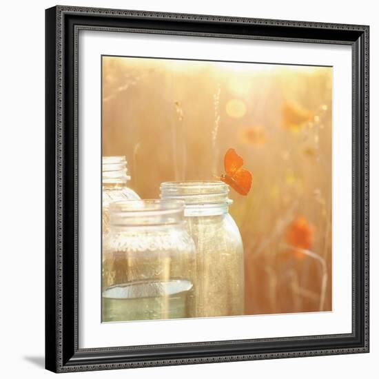 Butterfly Perch-Mandy Lynne-Framed Art Print